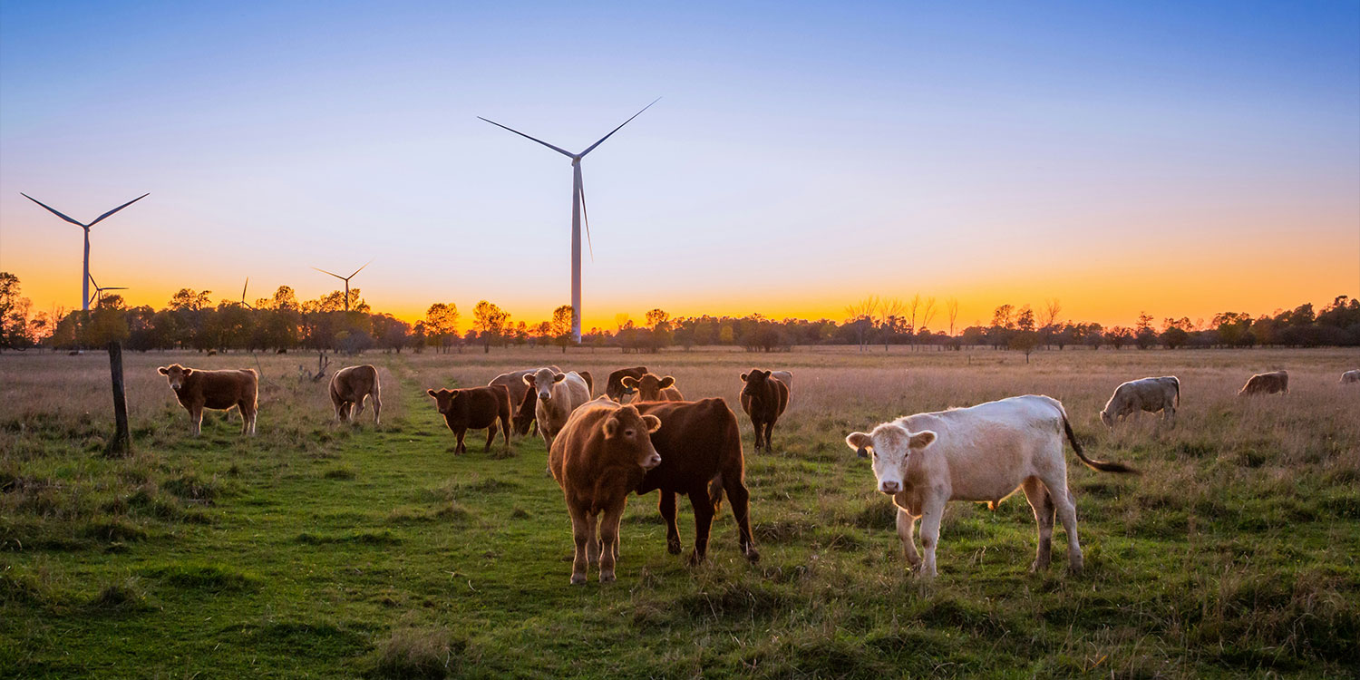 AG�ι��֡�(�й���)���޹�˾����